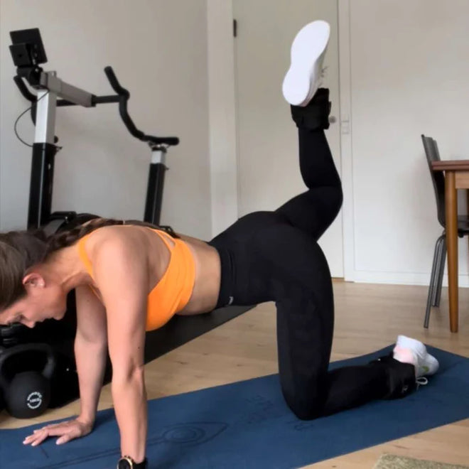 Handledsvikter 1 kg (2 x 0,5 kg)