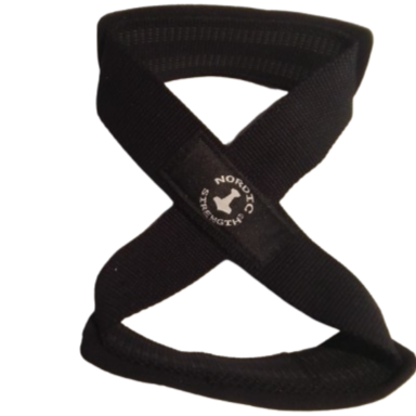 Figure 8 Lifting Straps (2 st.)