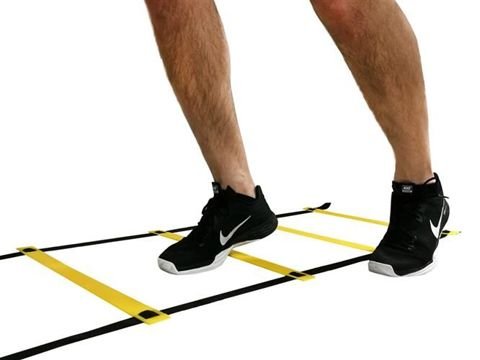 Agility Stege/ladder - 6 meter