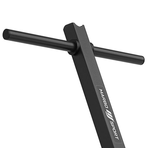 Viktskiva- och skivstångsställ för långa skivstänger